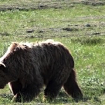 Screen Shot 2016-07-14 at 11.08.23 PM.jpg